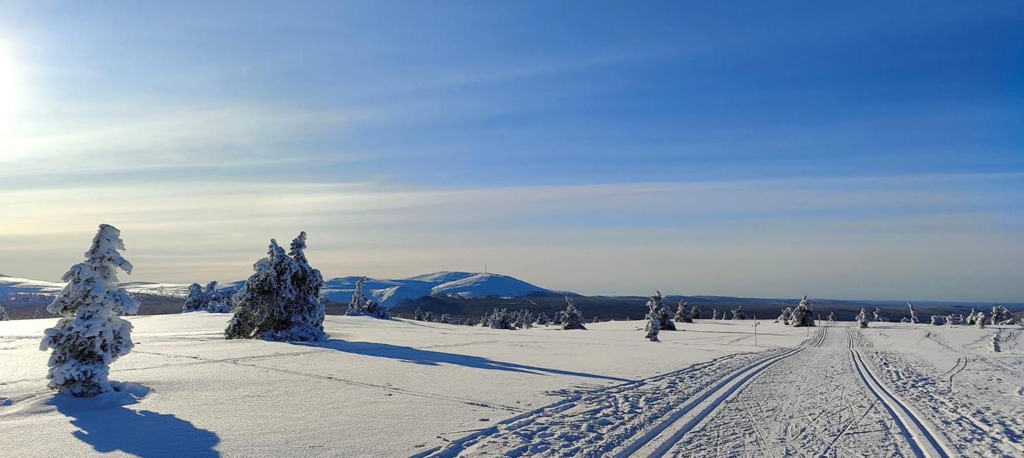 Chalet Ruska 2, Yllaes, Aekaeslompolo, Lapland - Log With And Fell Scenery